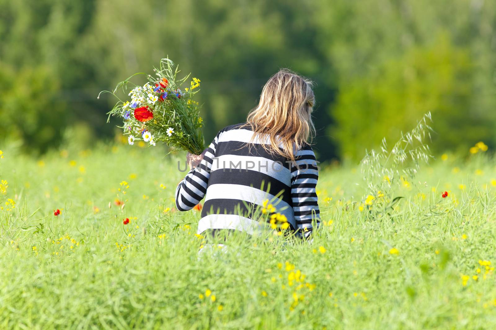 Woman Picking Wild Flowers on the Meadow in Spring