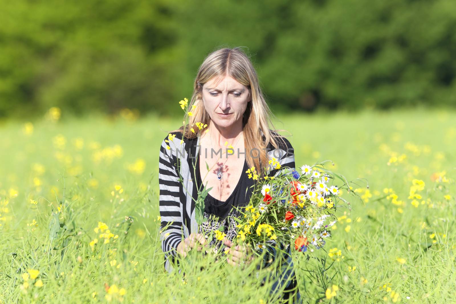 Woman Picking Wild Flowers on the Meadow by courtyardpix