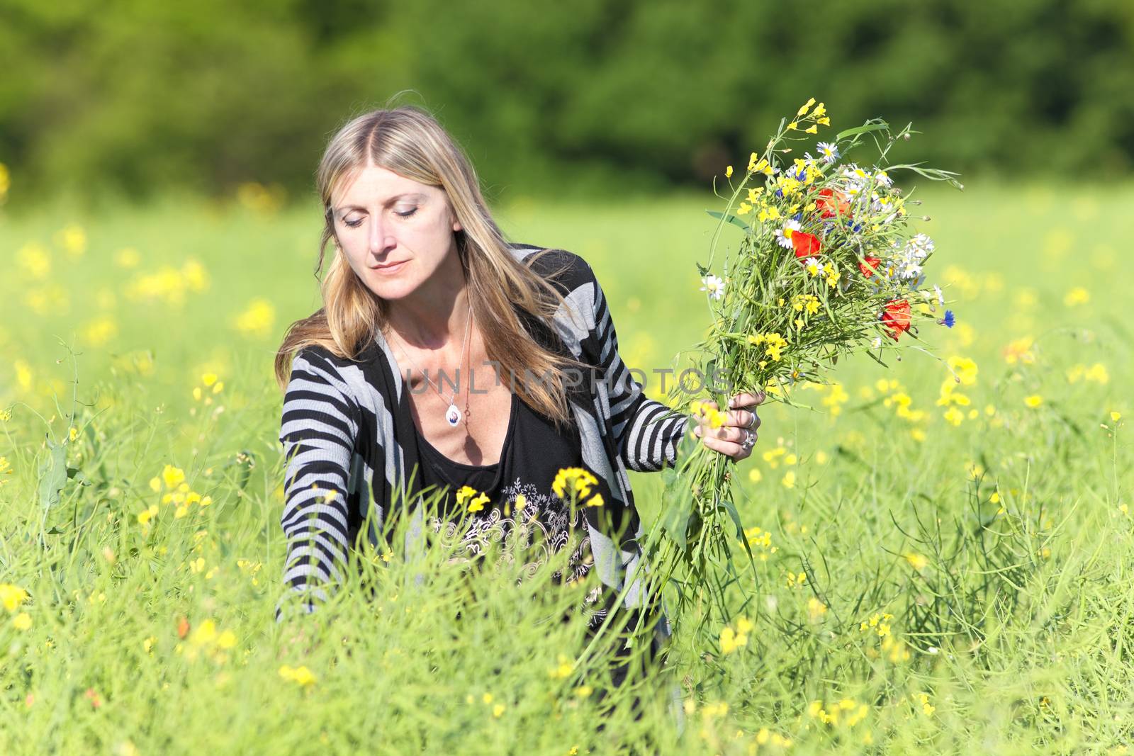 Woman Picking Wild Flowers on the Meadow by courtyardpix