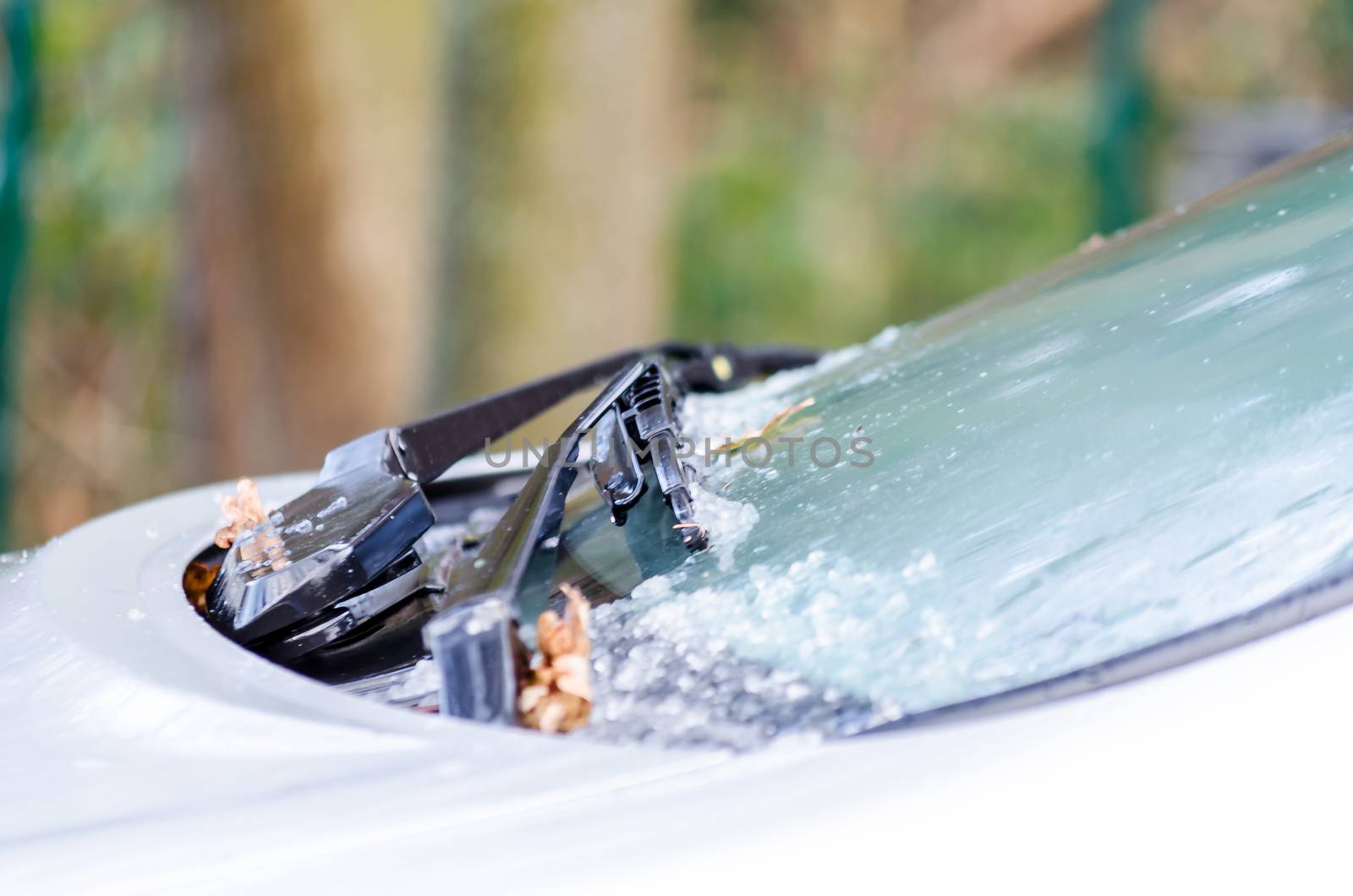 Windshield wipers with auto iced.