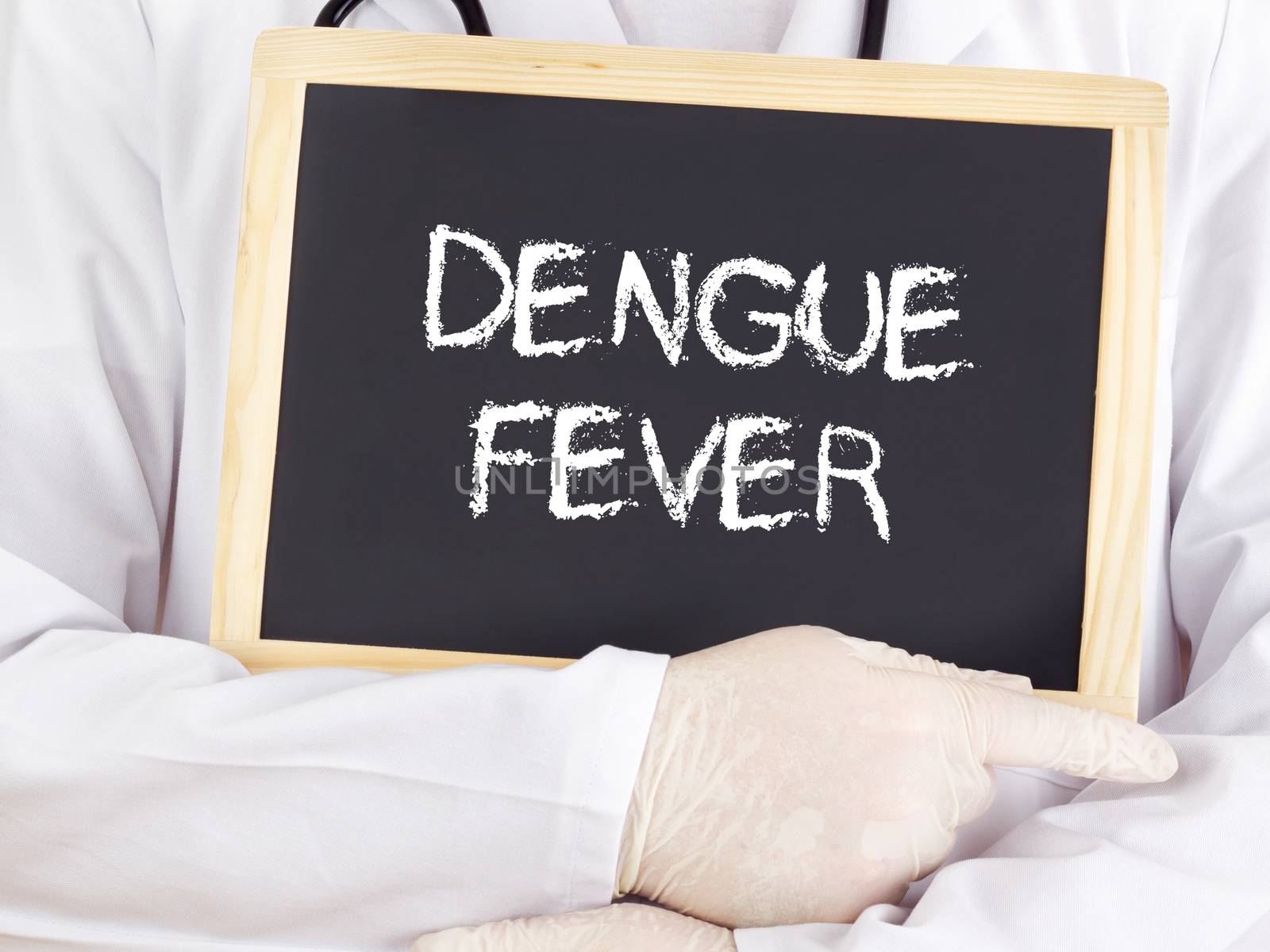 Doctor shows information on blackboard: Dengue fever