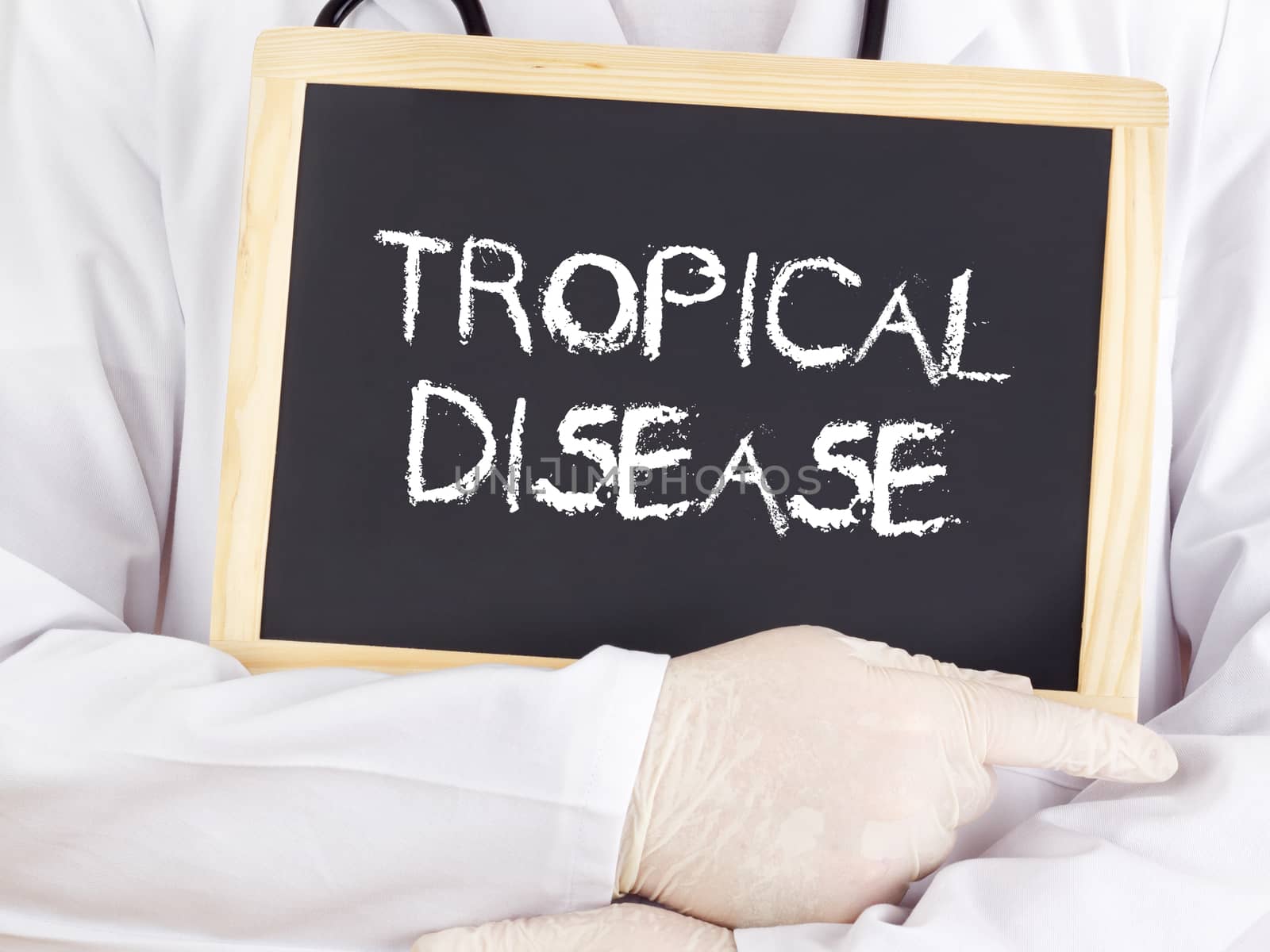 Doctor shows information on blackboard: Tropical disease