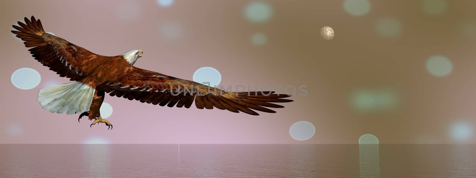 Eagle flying upon ocean in brown bokeh background - 3D render