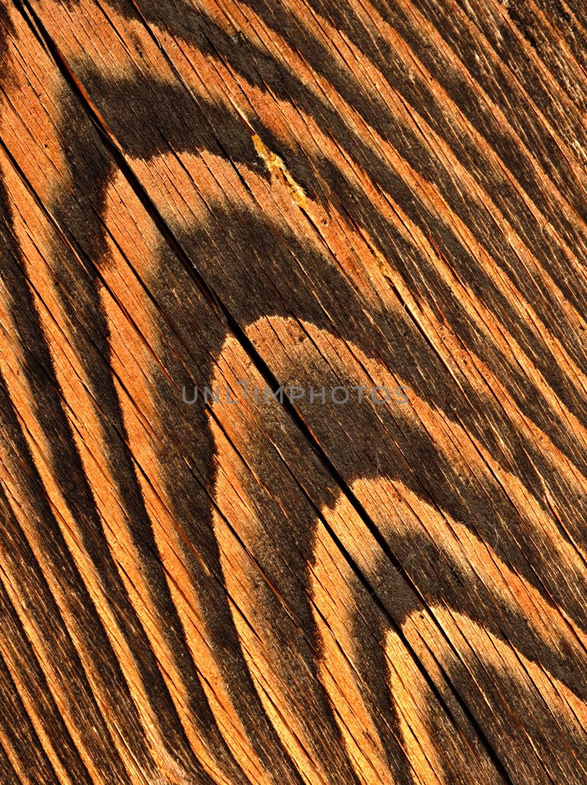 abstract background or texture fillet pattern with wood