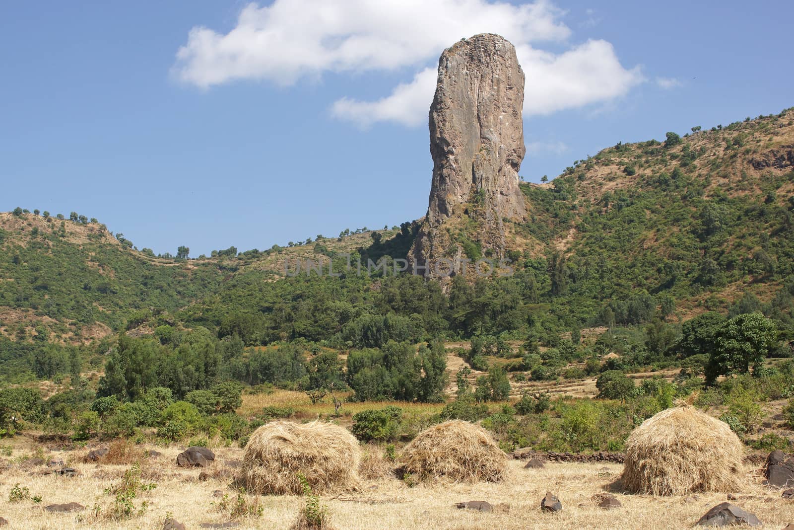Vultures rock close to Gondar, Ethiopia, Africa