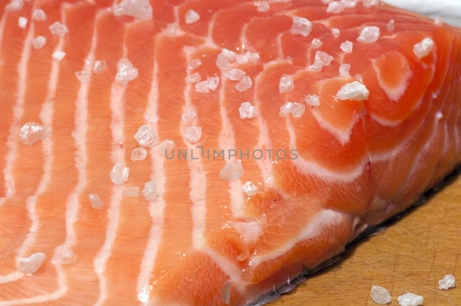 Fresh salmon fillet close up by dred