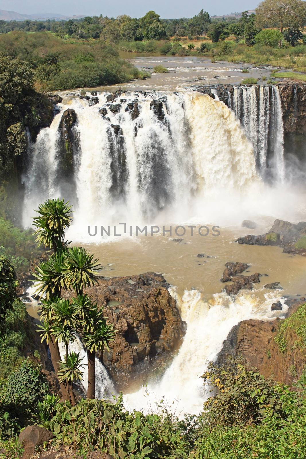 Blue Nile falls, Bahar Dar, Ethiopia by alfotokunst
