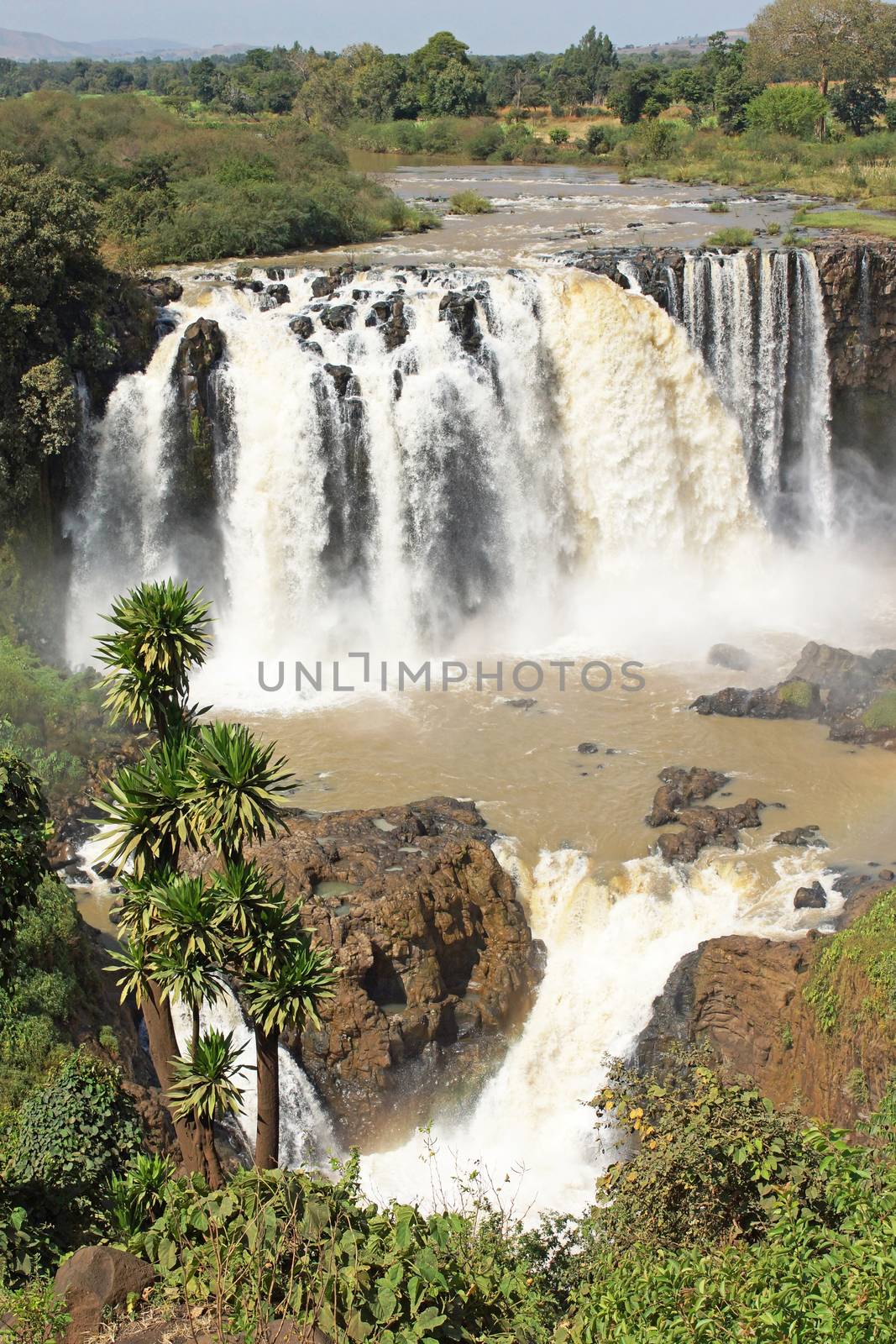 Blue Nile waterfalls, Bahar Dar, Ethiopia, Africa