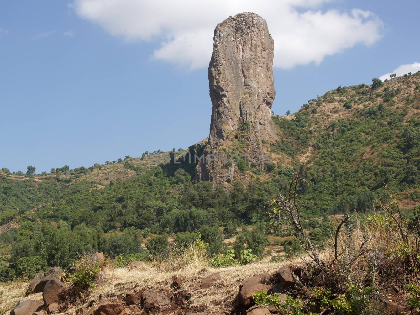 Vultures rock close to Gondar, Ethiopia, Africa
