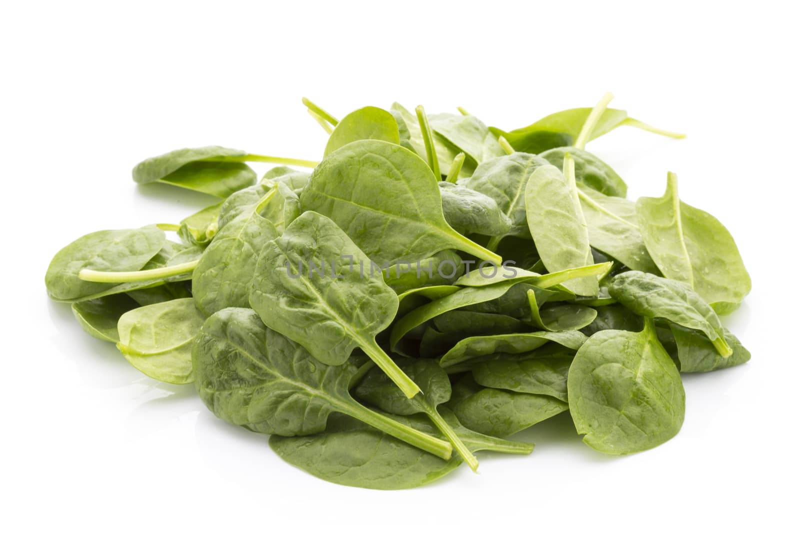Spinach isolated on the white background.