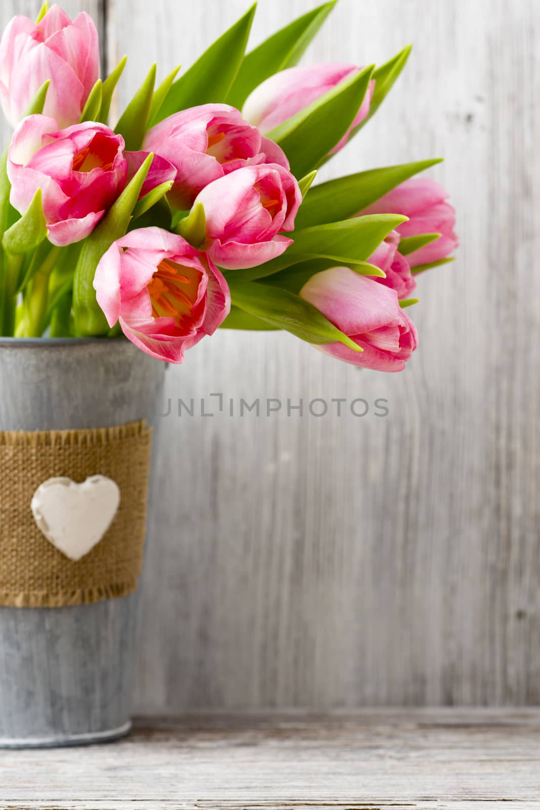 Pink tulips in a bucket. Home Decor.