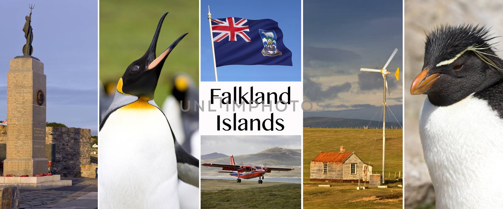 The Falkland Islands - Islas Malvinas.