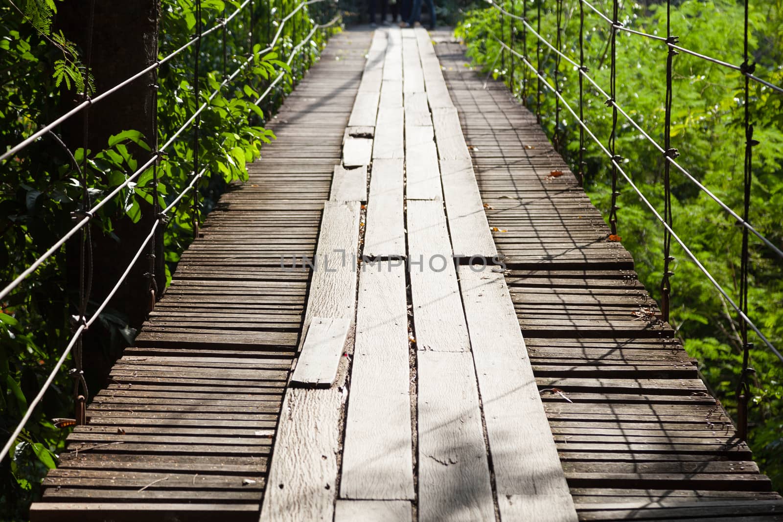 Suspension Bridge made of wood. Walking through the trees above a waterfall below.