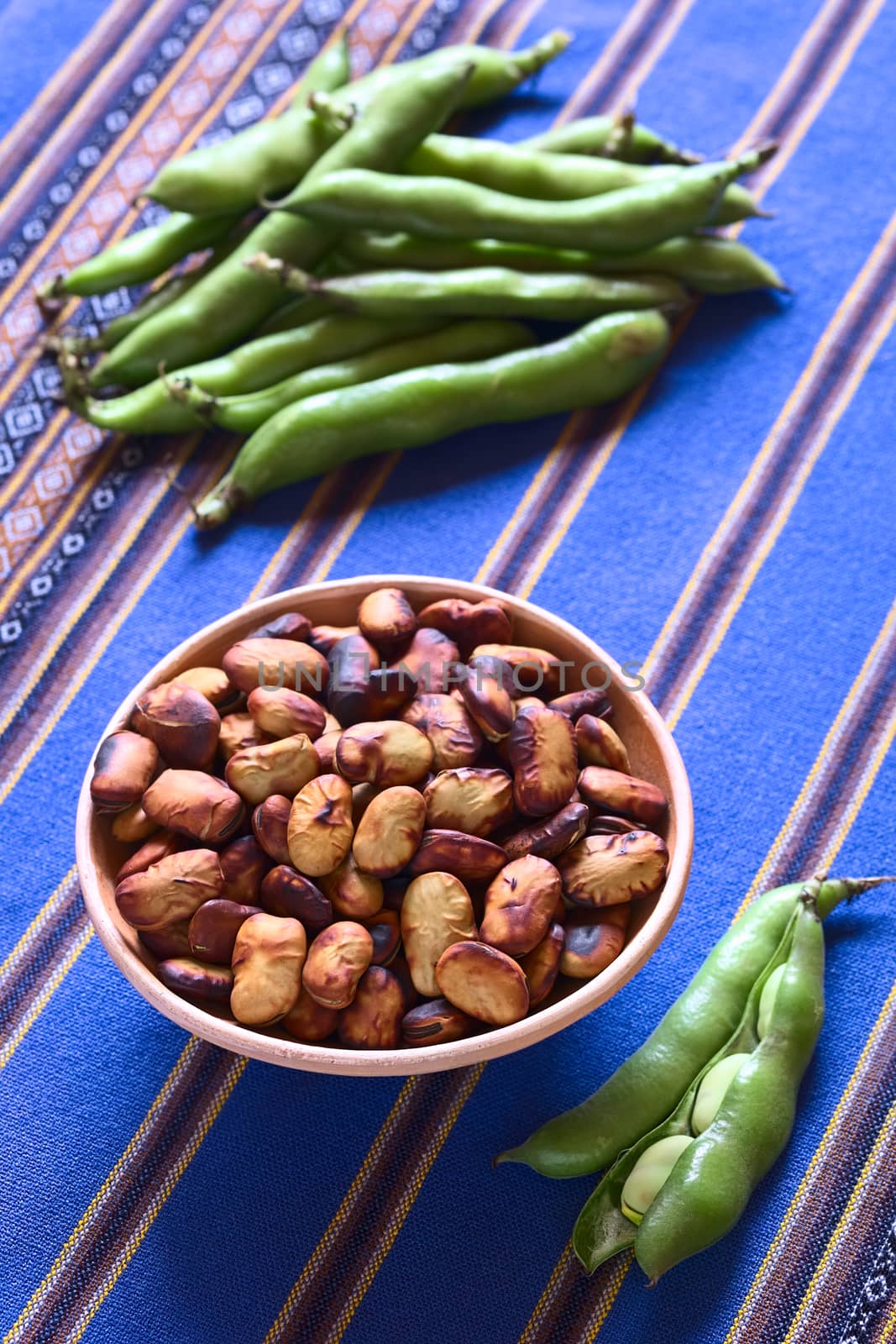 Roasted broad beans (lat. Vicia faba) eaten as snack in Bolivia in bowl with fresh broad bean pods on the side and in the back on blue fabric, photographed with natural light (Selective Focus, Focus one third into the roasted beans)