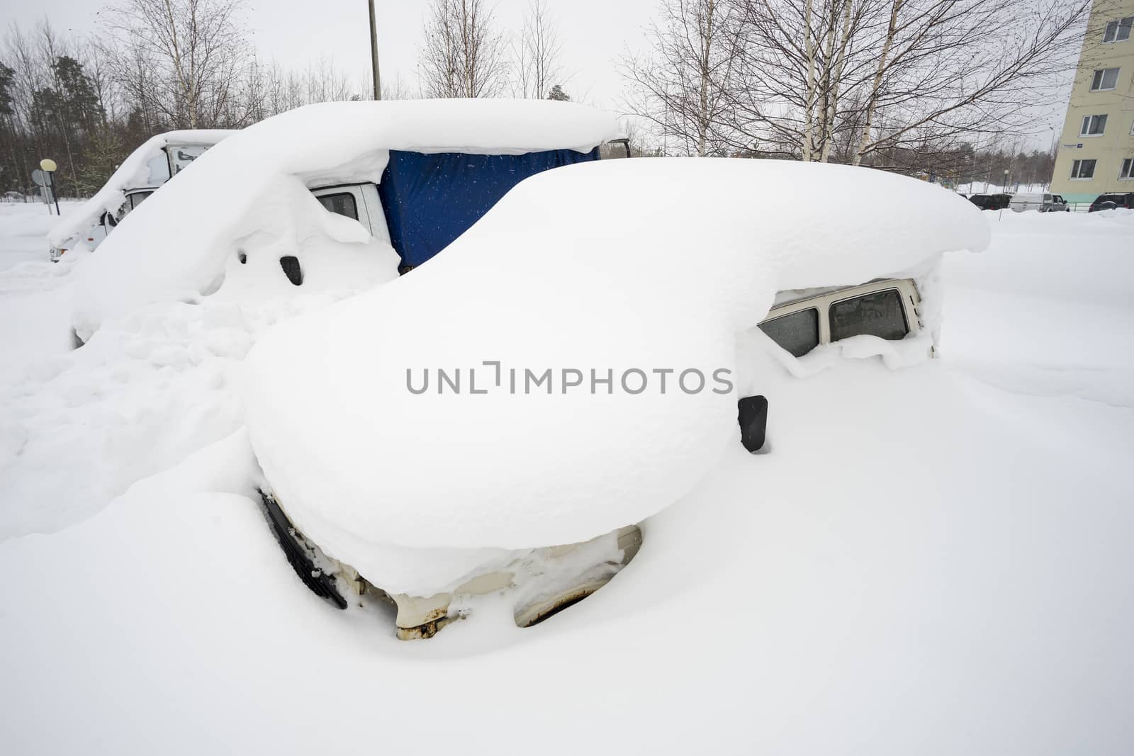 In the urban yard of an abandoned car.