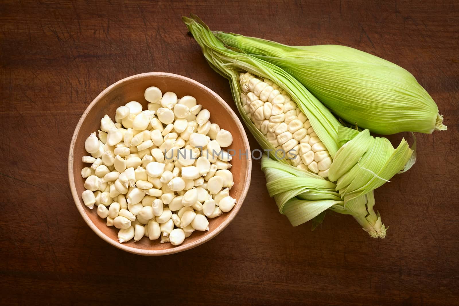 White Corn Called Choclo (Peruvian or Cuzco Corn) by ildi