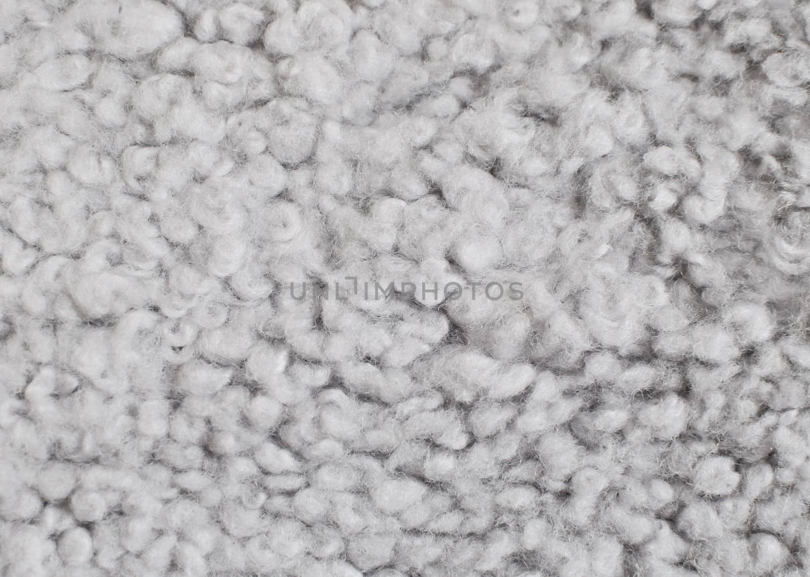Gray wool background. Sheep skin closeup.