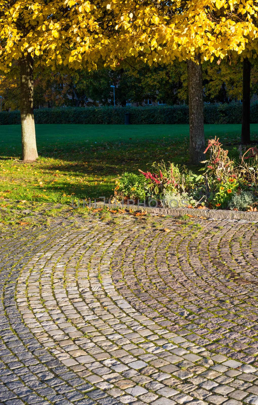 Cobble stone pattern and yellow leaves by ArtesiaWells