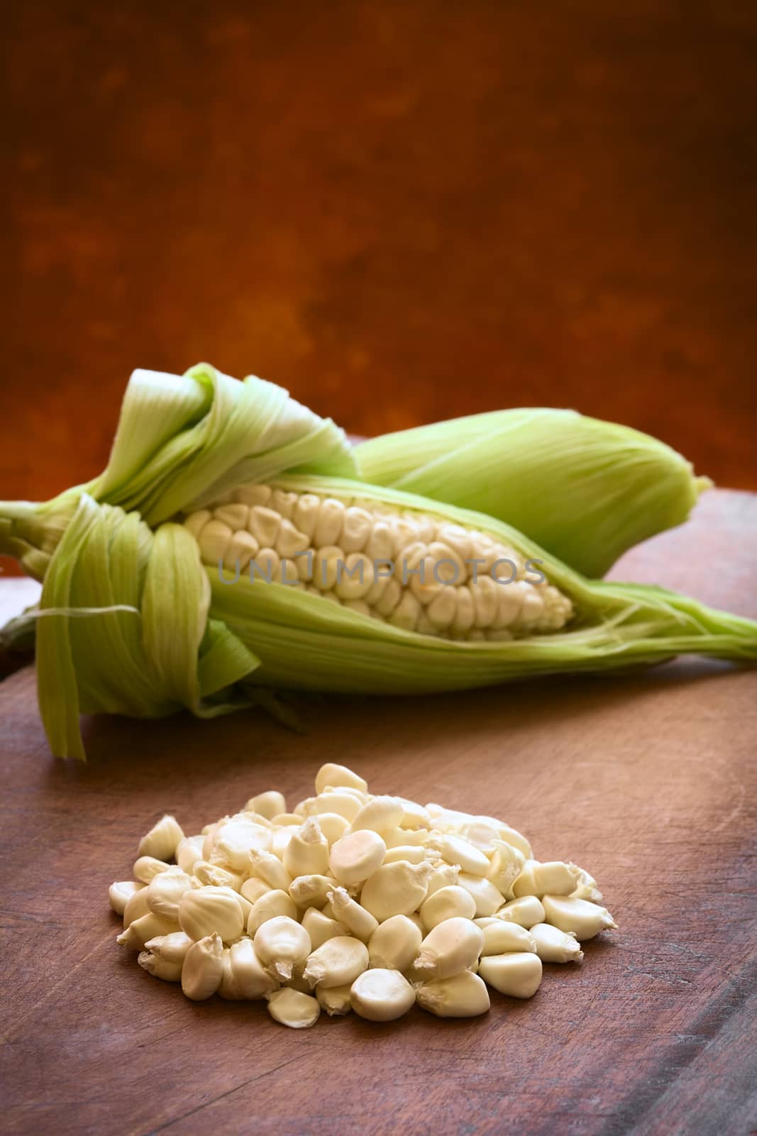 Kernels of white corn called Choclo (Spanish), in English Peruvian or Cuzco corn, typically found in Peru and Bolivia, photographed on wooden board with natural light (Selective Focus, Focus one third into the kernels)     