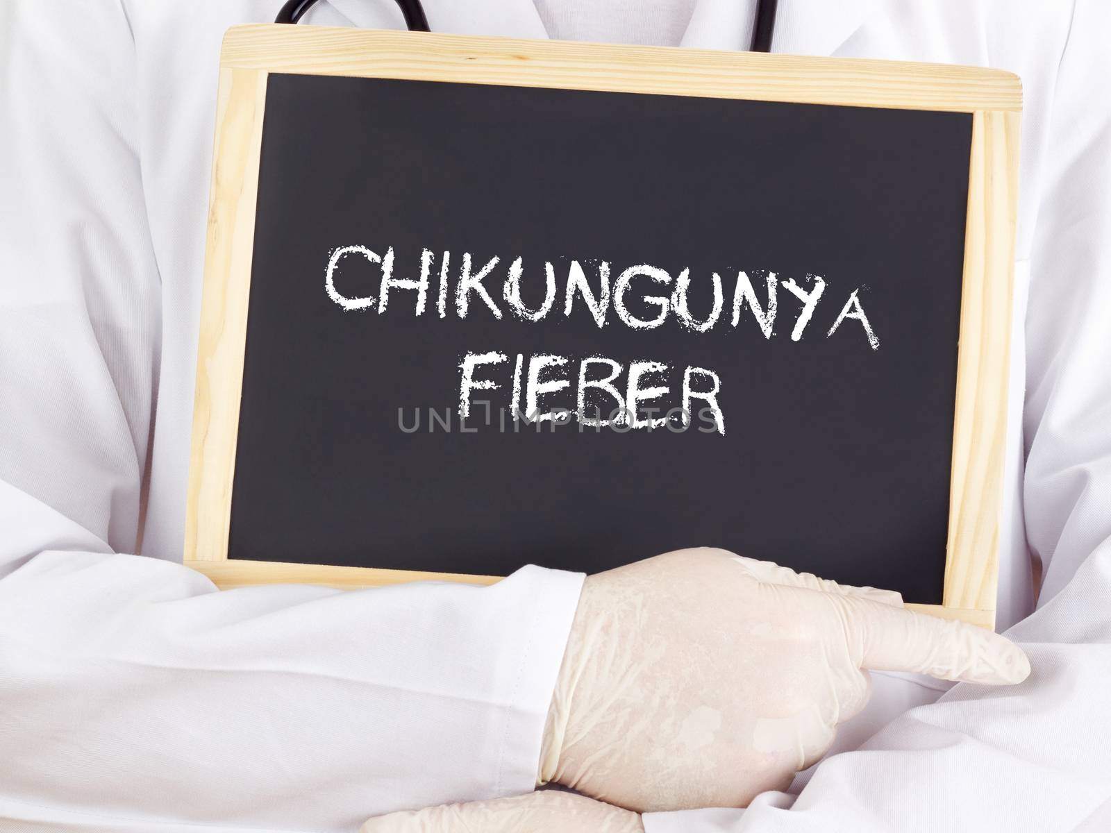 Doctor shows information: Chikungunya fever in german