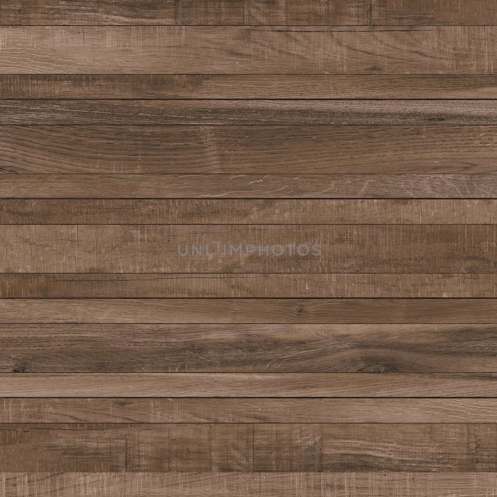 Wood Texture Background. High.Res.