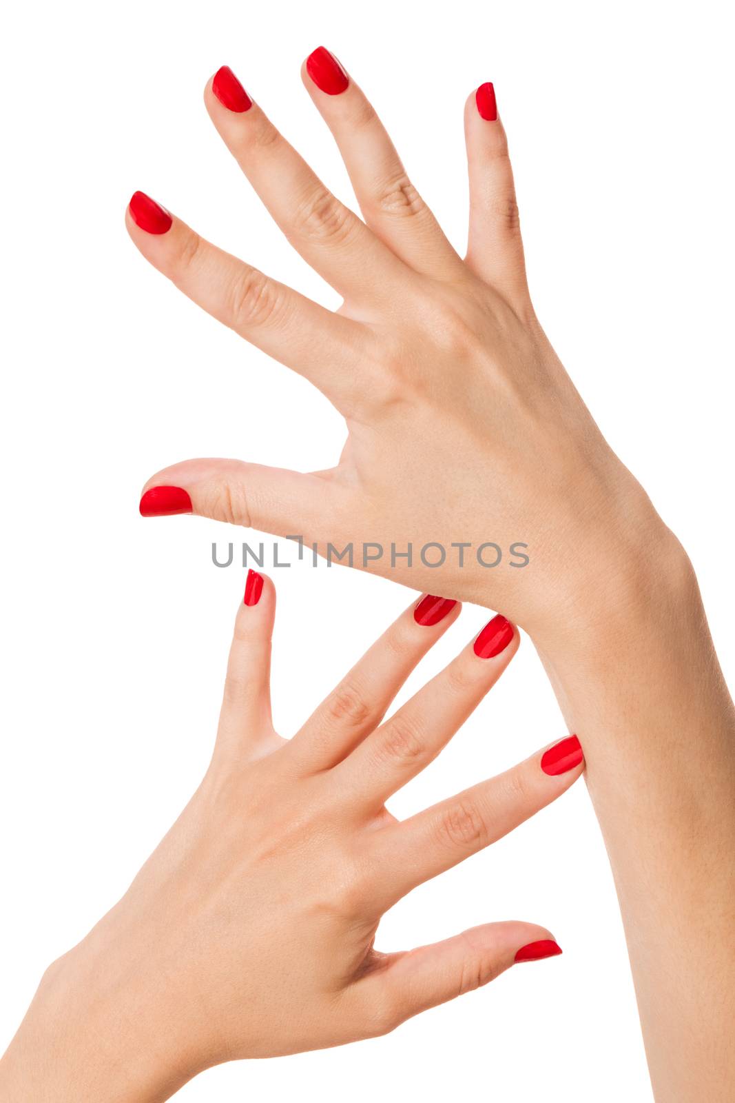 Woman with beautiful manicured red fingernails gracefully crossing her hands to display them to the viewer on a white background in a fashion, glamour and beauty concept