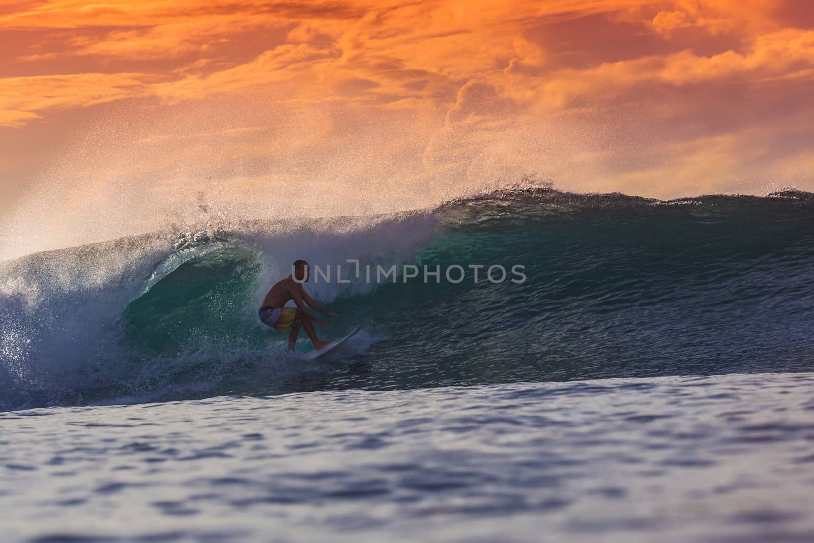 Surfer on Amazing Wave at sunset time, Bali island.