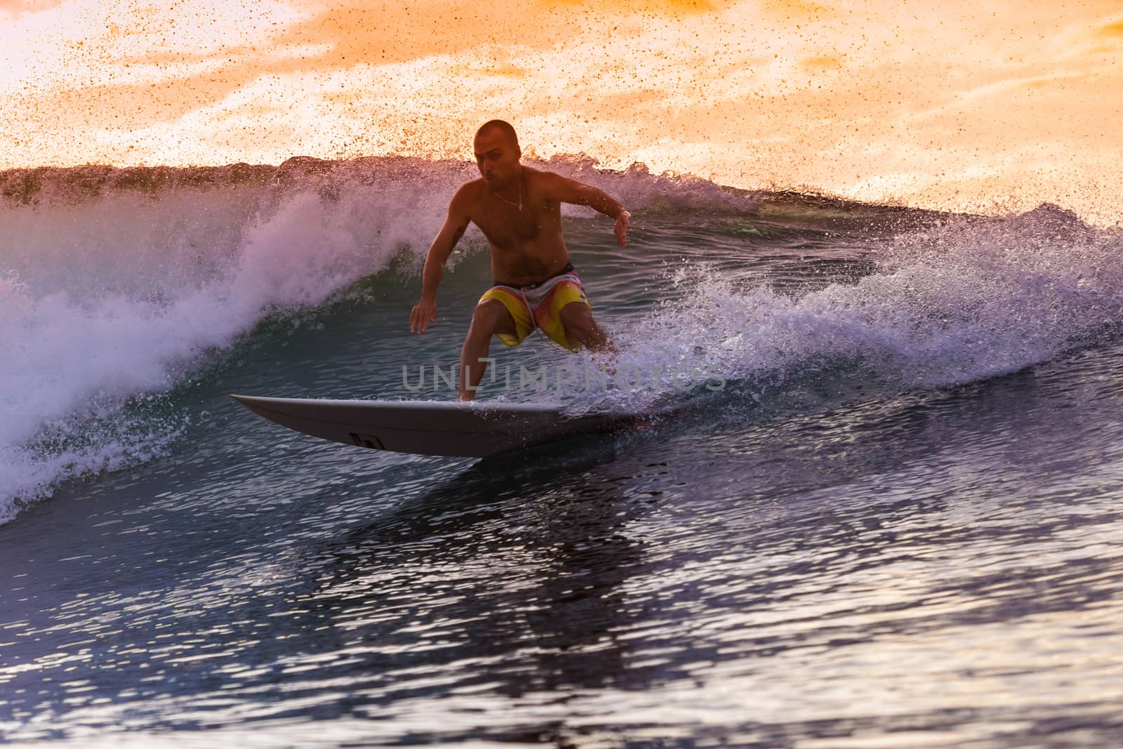 Surfer on Amazing Wave at sunset time, Bali island.