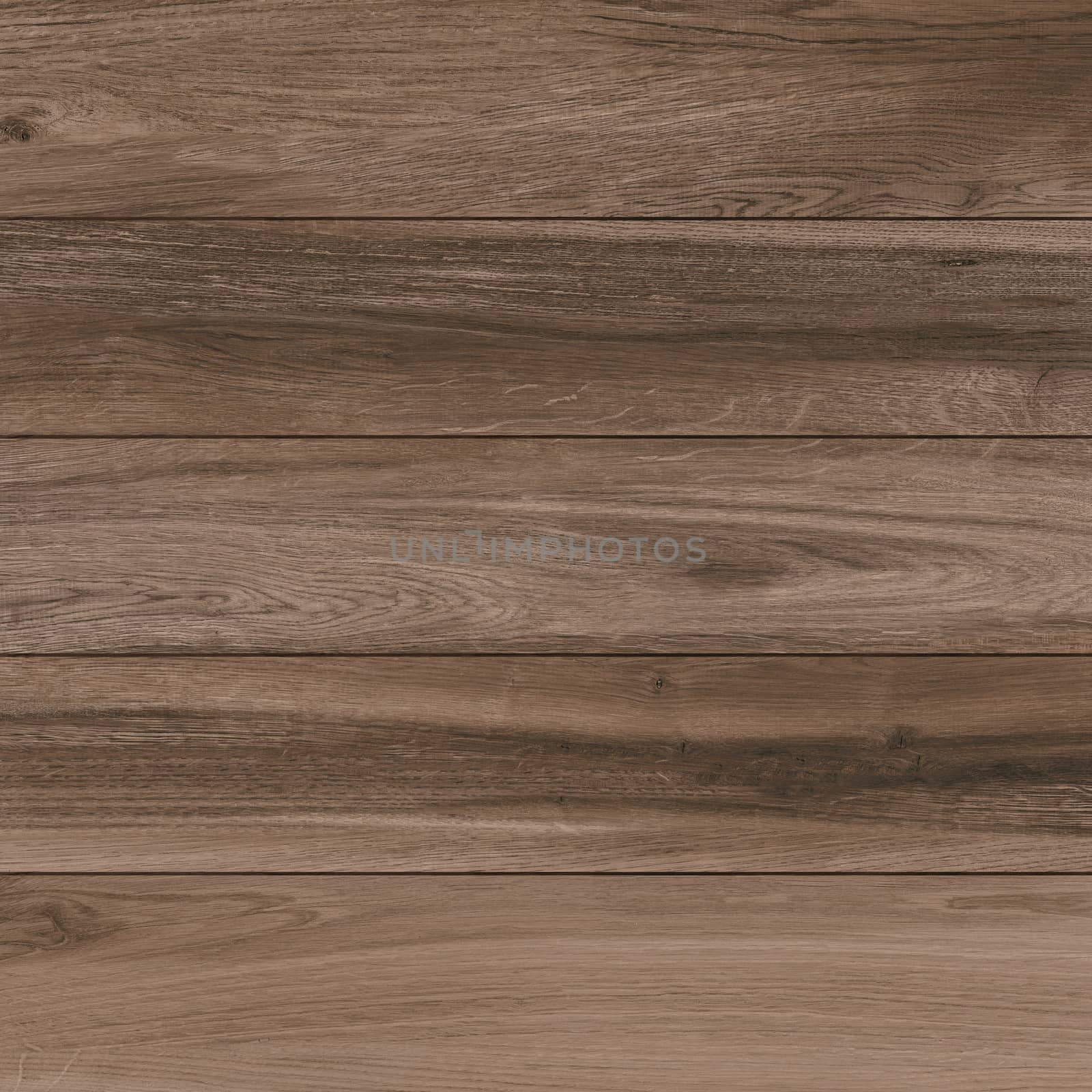 Wood Texture Background. High.Res.
