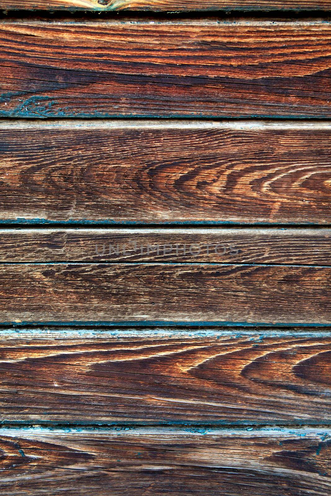 Wooden Texture by sabphoto