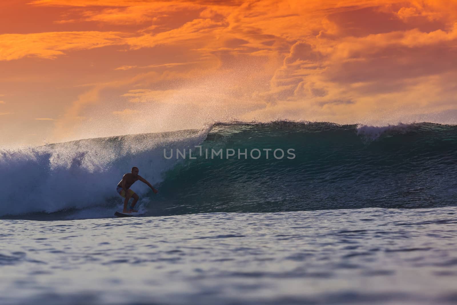 Surfer on Amazing Wave at sunset time, Bali island.