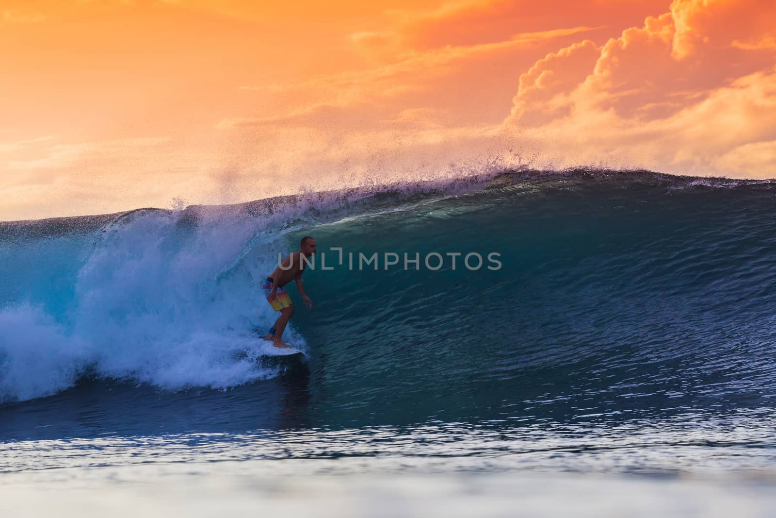 Surfer on Amazing Wave at sunset time, Bali island.