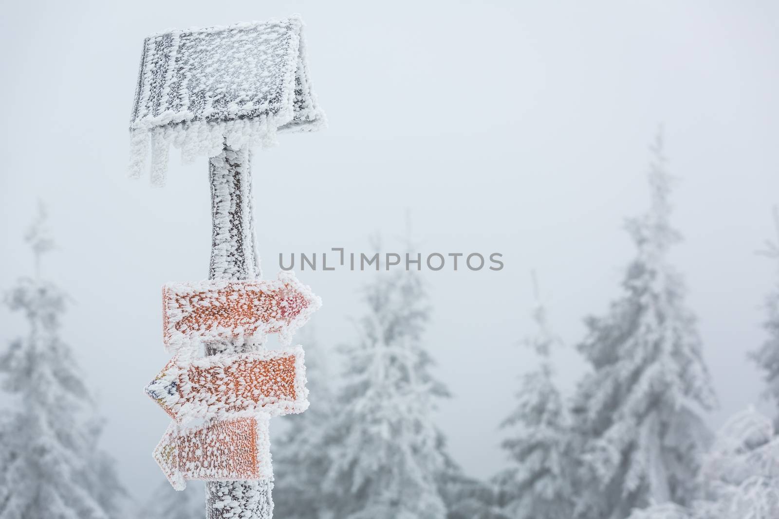Extreme winter weather - hiking path sign covered with snow brought by strong wind during snowstorm