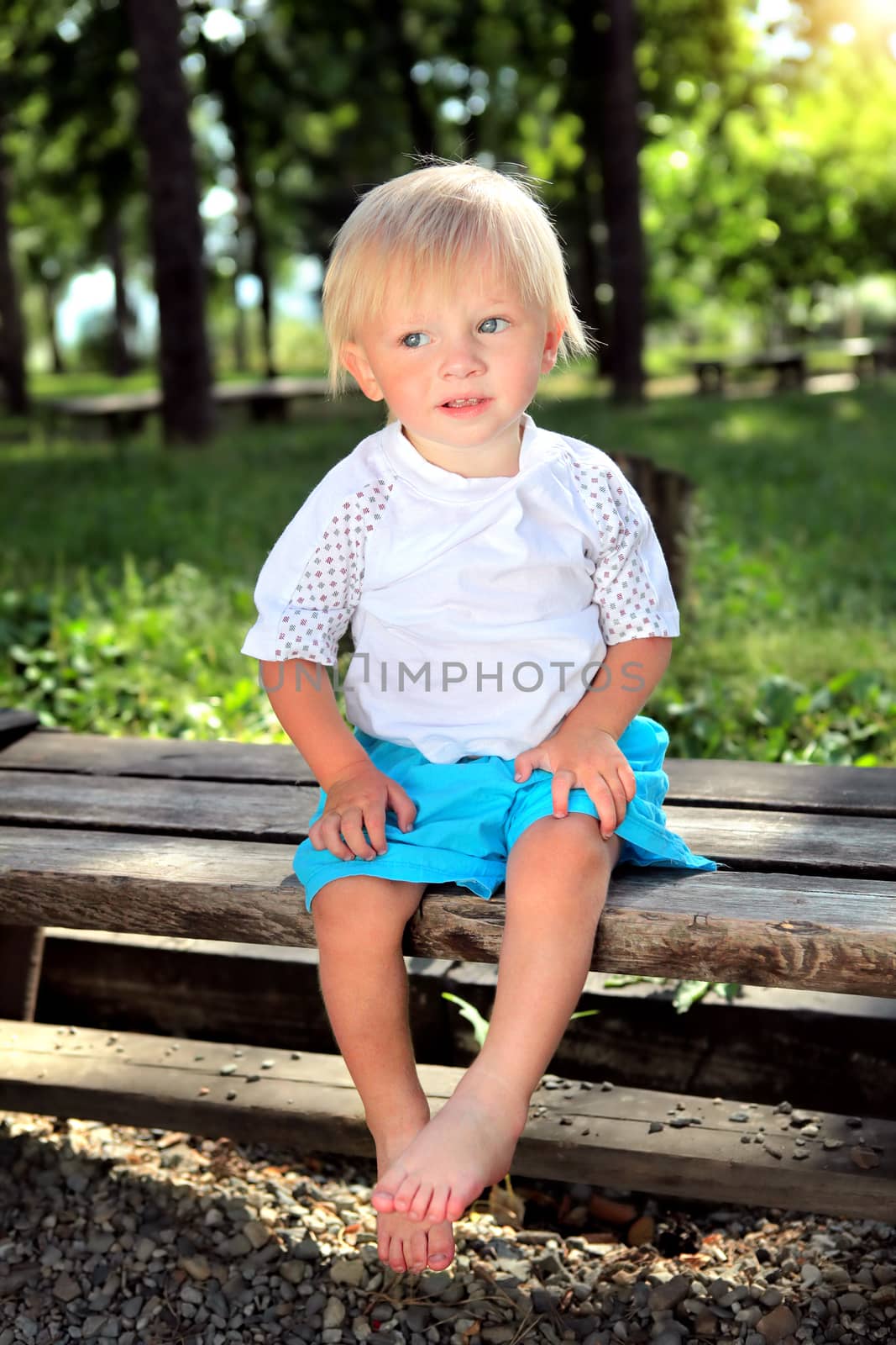 Child on the Bench at the Summer Park