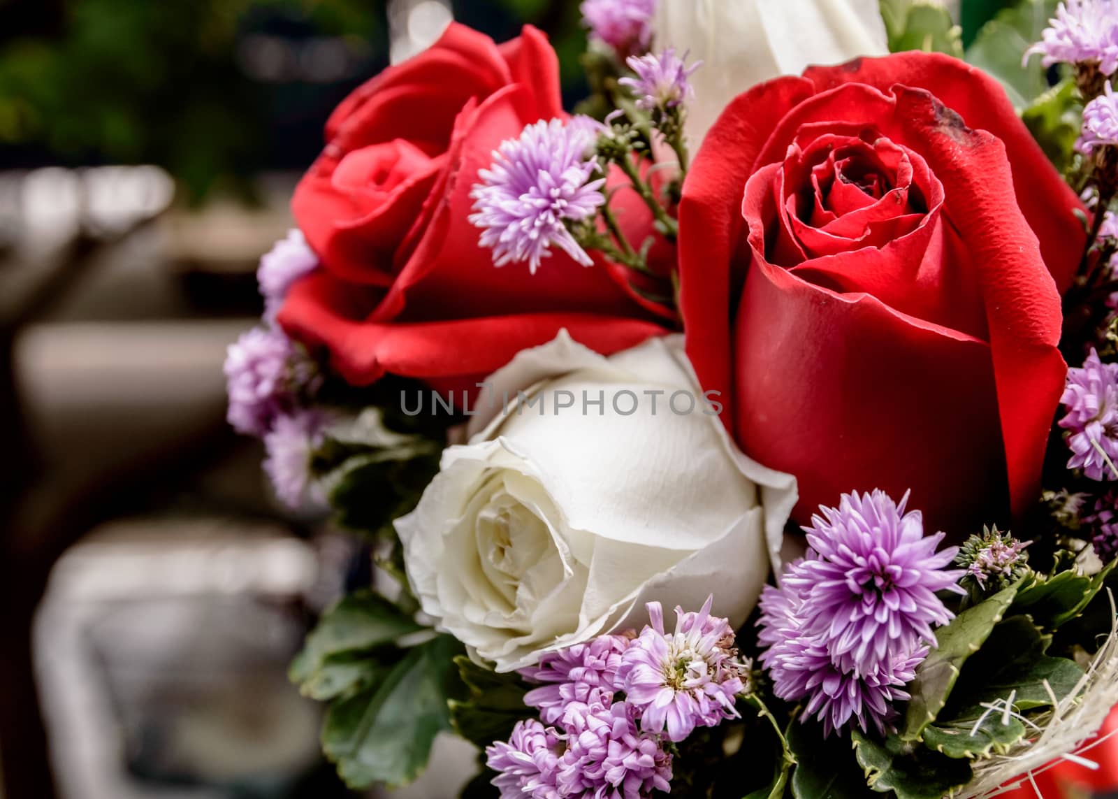 Closeup of a beautiful roses by toodlingstudio