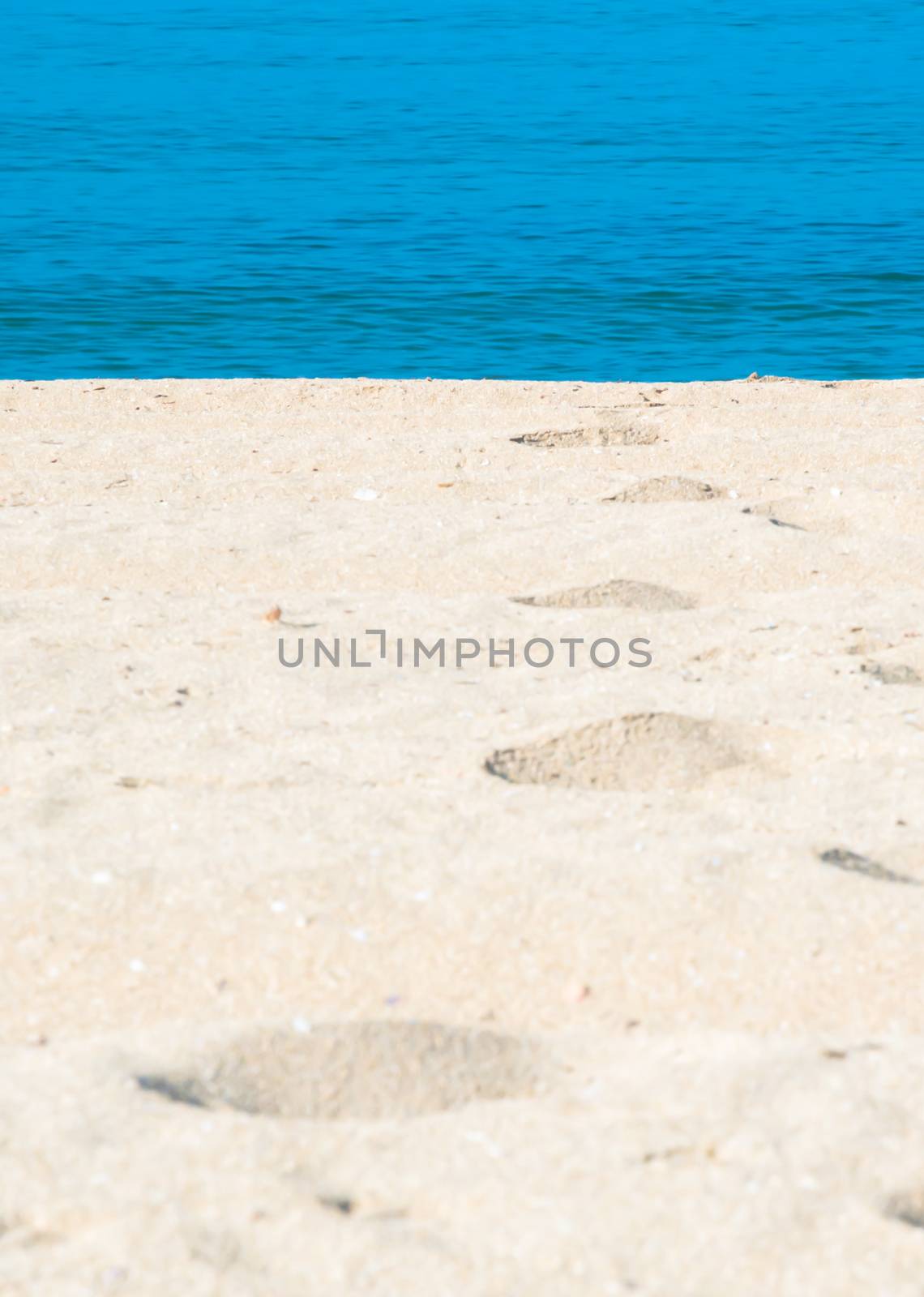 Sand tracks into the water by ArtesiaWells