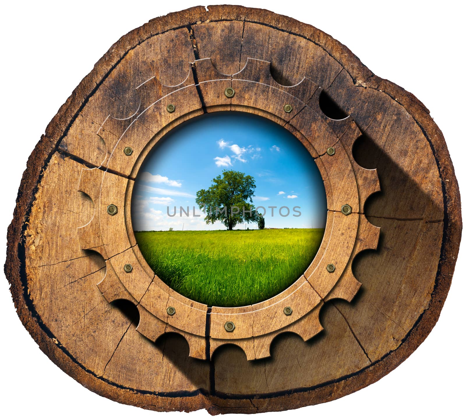 Wooden gear in a section of tree trunk with green tree in countryside, concept of green economy. Isolated on white background