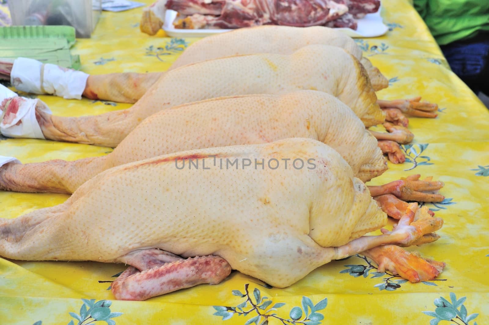 Plucked geese on the market