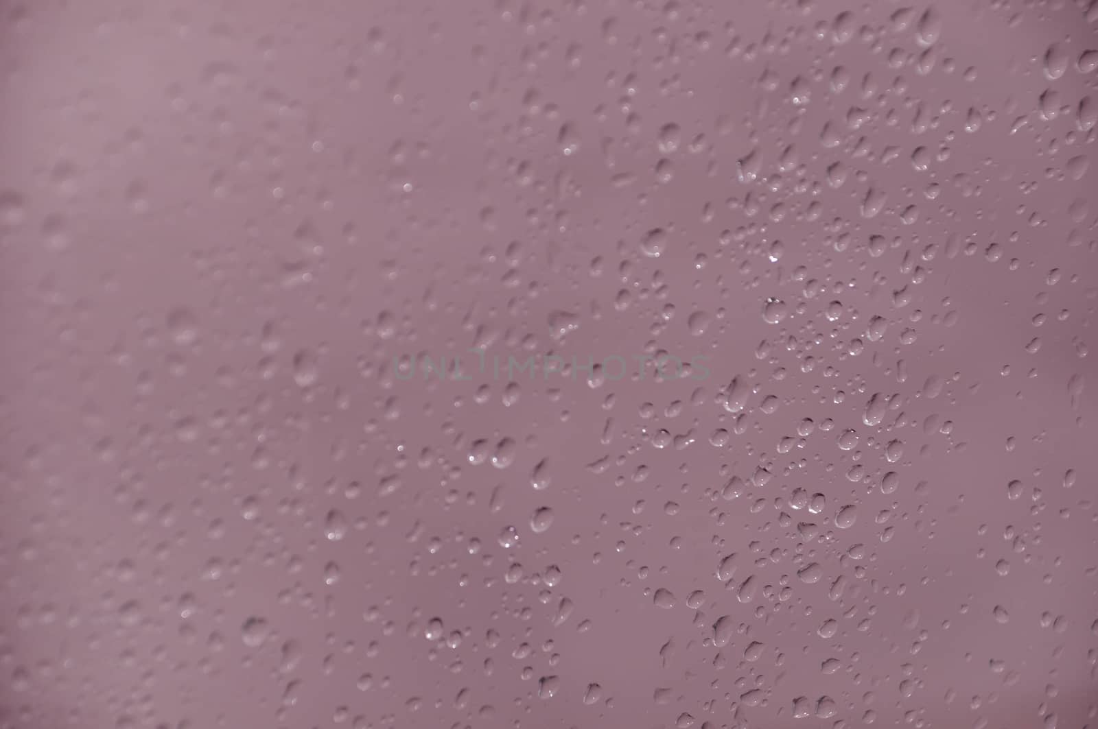 Condensation on the window