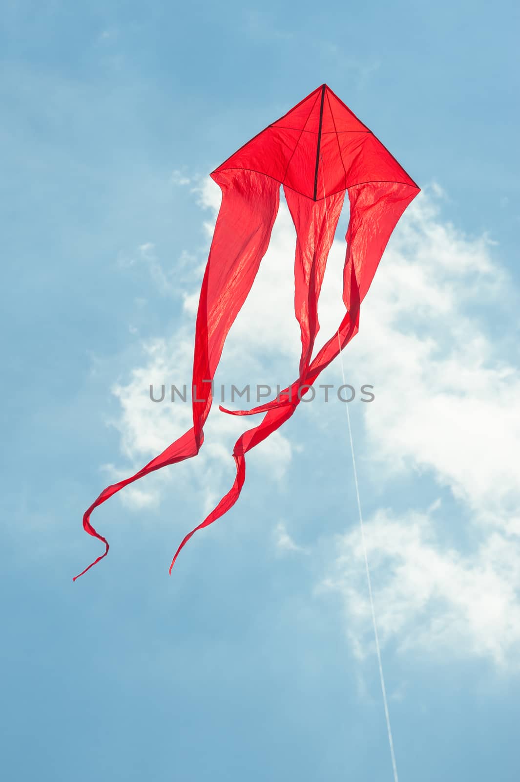 flying a kite by nelsonart