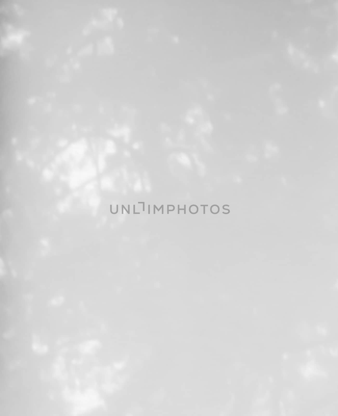 Nature background gray. Subtle texture pattern of tree foliage and light for background or ad space.