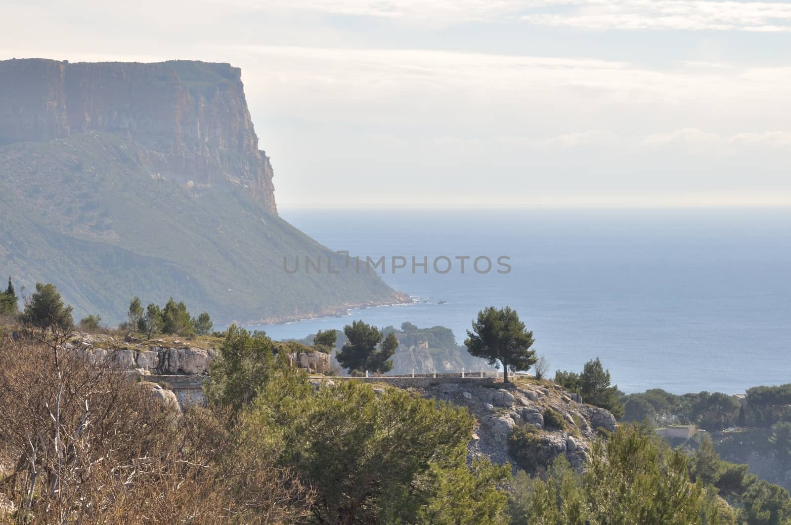 France, Bouches du Rhone, Cassis,