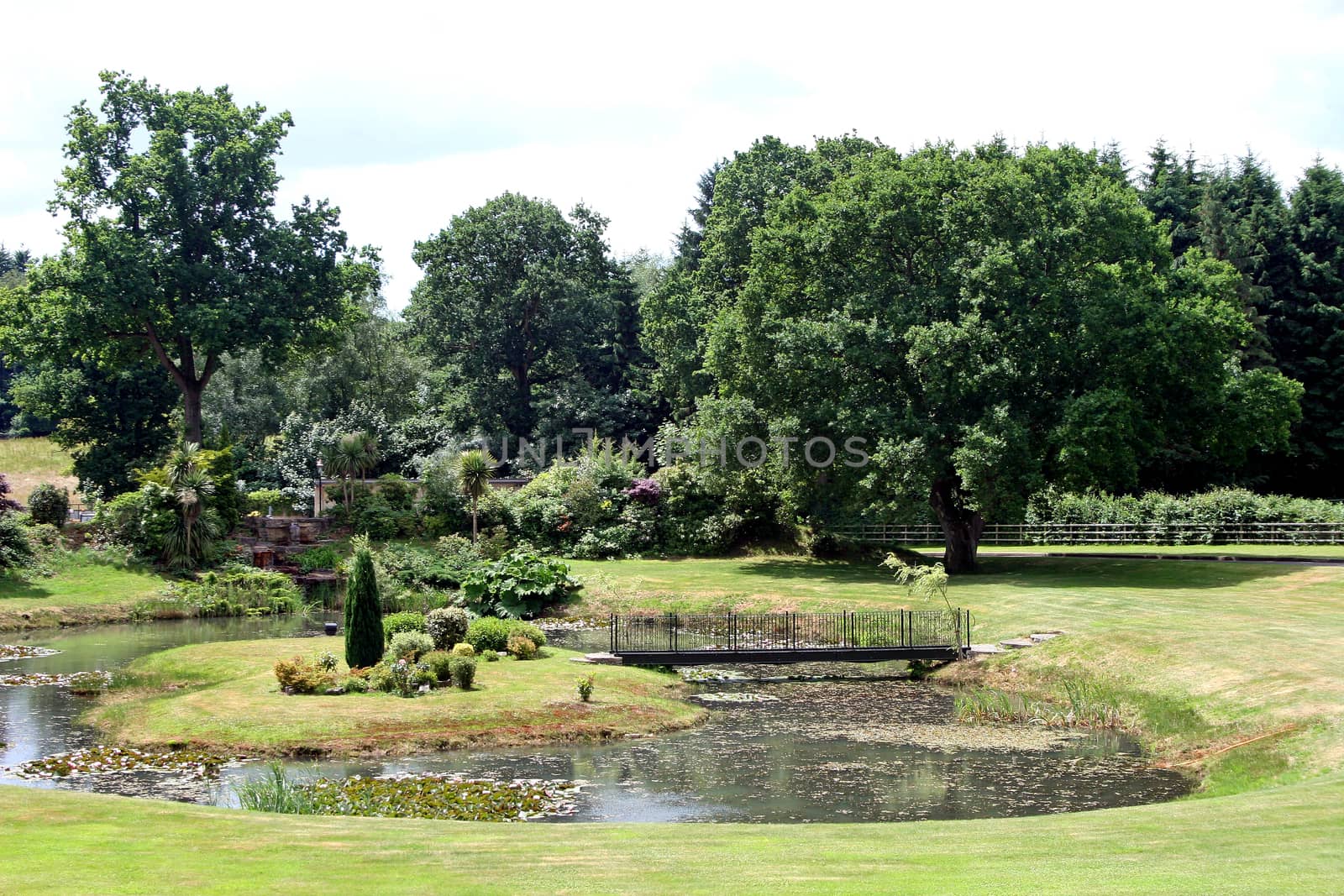 Gardens with a pond, bridge and trees