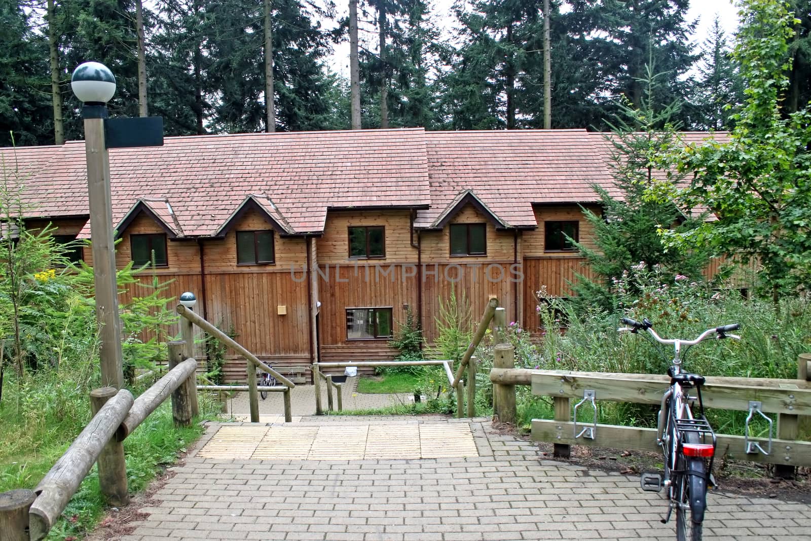 Houses made of wood in a forest