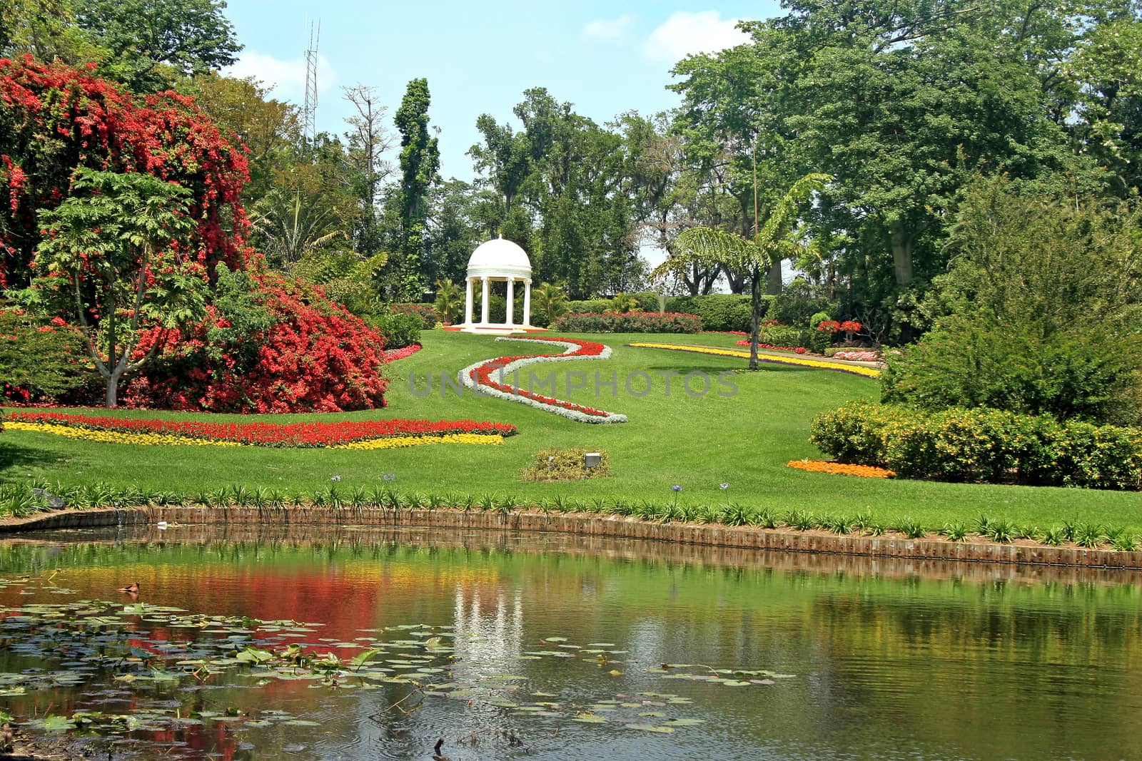 A beautiful garden with pond, trees and flowers