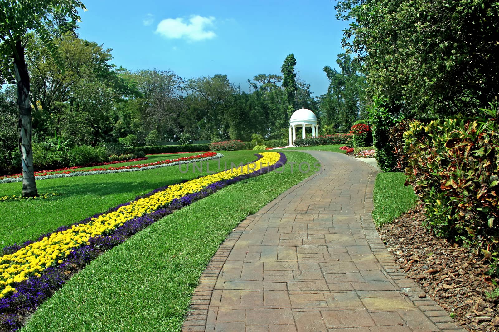 A beautiful garden with flowers and trees