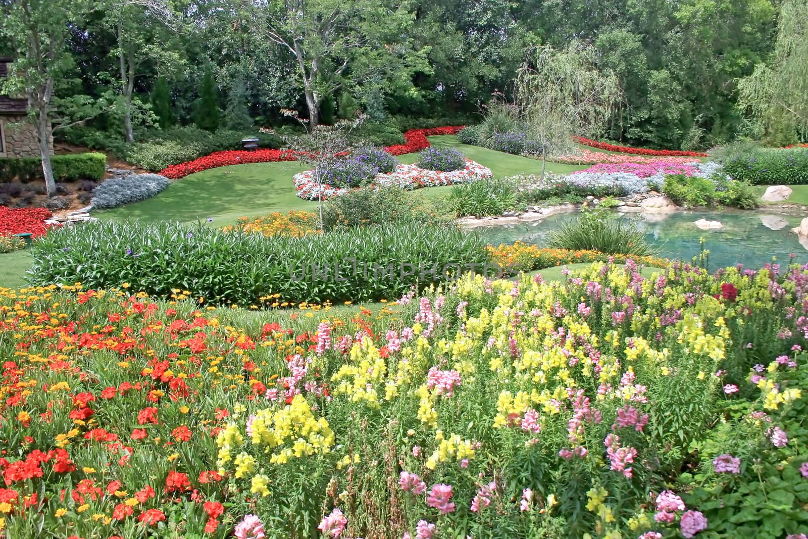 A beautiful garden with flowers and trees