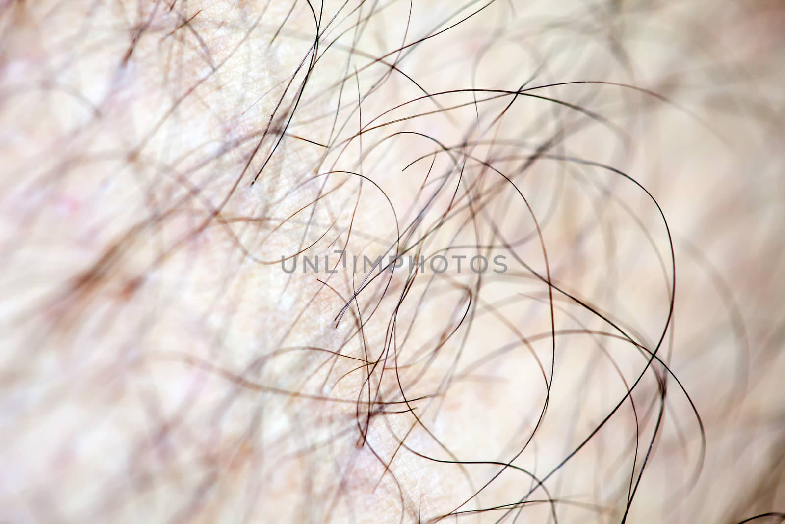 Male human hair close up