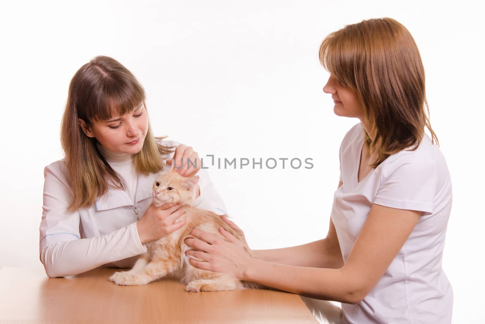 A girl with a red cat at a reception at the vet