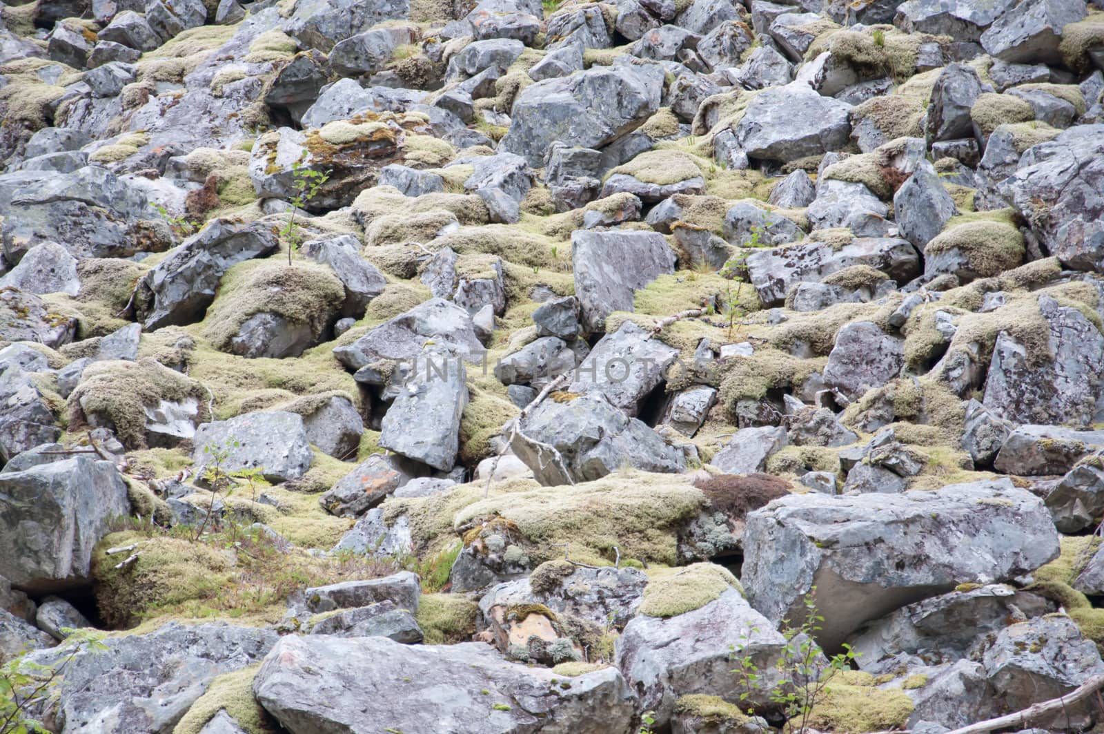 Temporarily dried out river bed with sharp rocks and moss, Bindal, Nordland, Norway.